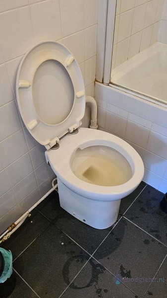  verstopping toilet Moerkapelle